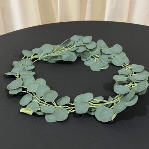Eucalyptus