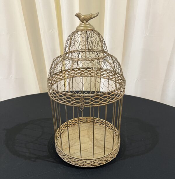 Gold Bird Cage