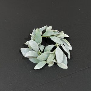 Frosted Eucalyptus Rounds