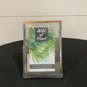 Silver 4x6 Frame