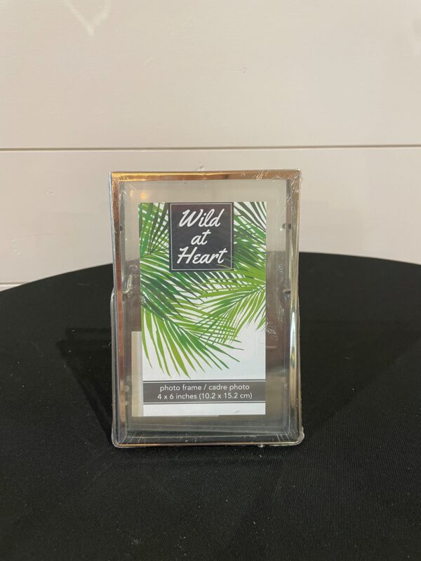 Silver 4x6 Frame