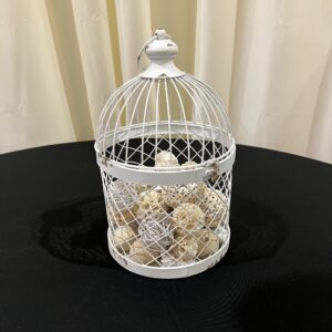 White Bird Cage