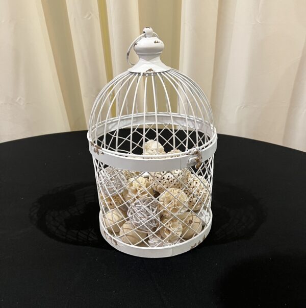White Bird Cage